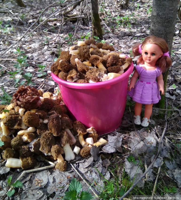 Продолжение, Мещера, куколка Наташа