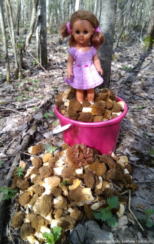 Продолжение, Мещера, куколка Наташа