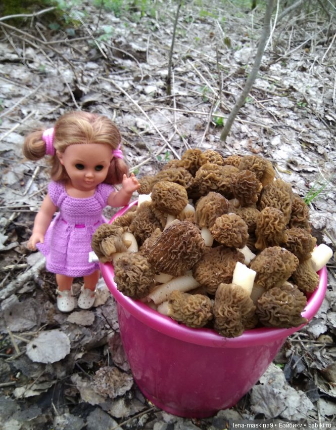 Продолжение, Мещера, куколка Наташа