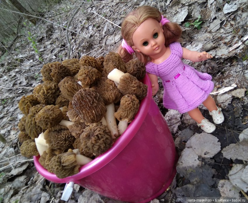 Продолжение, Мещера, куколка Наташа