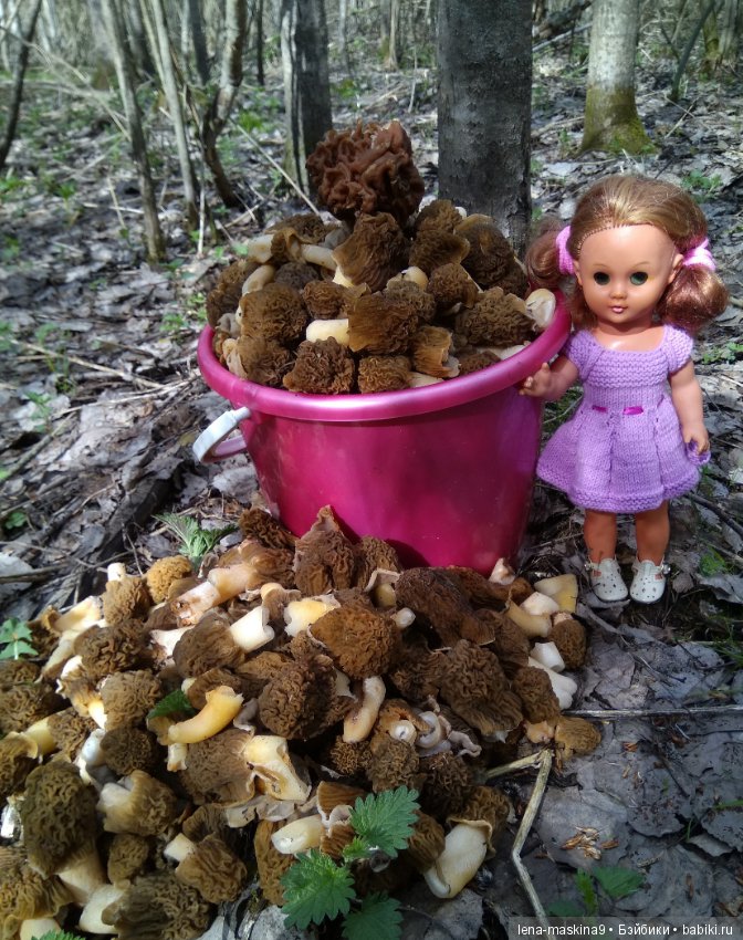 Продолжение, Мещера, куколка Наташа