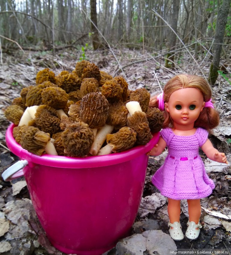 Продолжение, Мещера, куколка Наташа