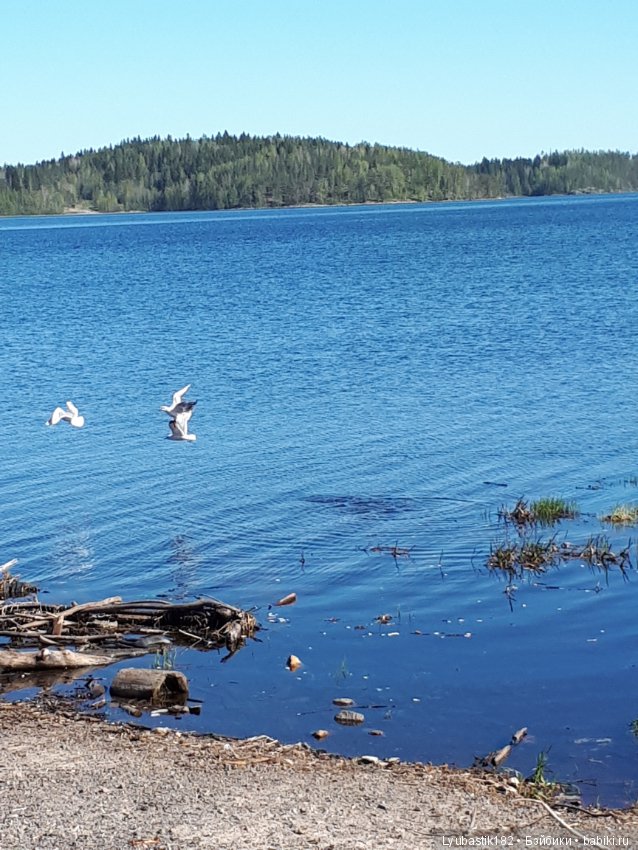 Прогулка по набережной — Туризм и путешествия: фотоотчеты из поездок (фото 2)