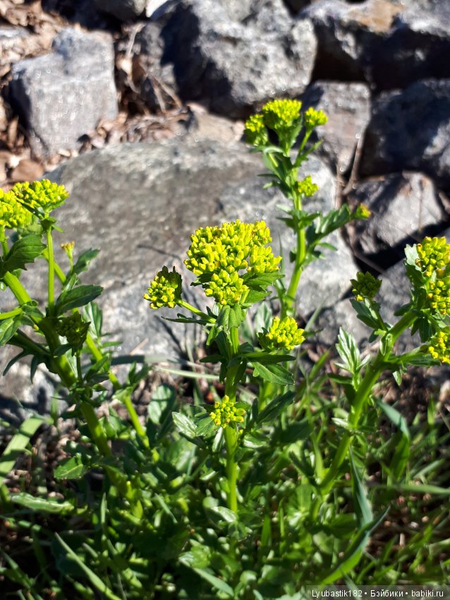 Прогулка по набережной — Туризм и путешествия: фотоотчеты из поездок (фото 4)
