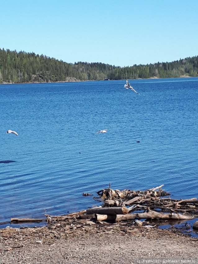 Прогулка по набережной — Туризм и путешествия: фотоотчеты из поездок (фото 3)