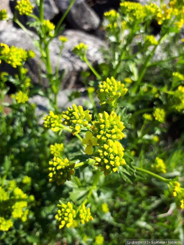 Прогулка по набережной — Туризм и путешествия: фотоотчеты из поездок (фото 6)