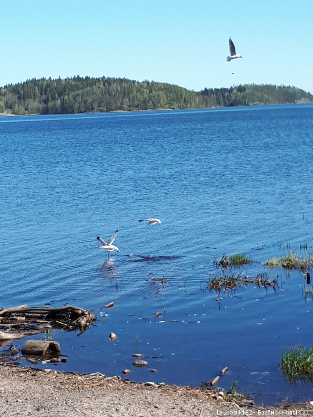 Прогулка по набережной — Туризм и путешествия: фотоотчеты из поездок