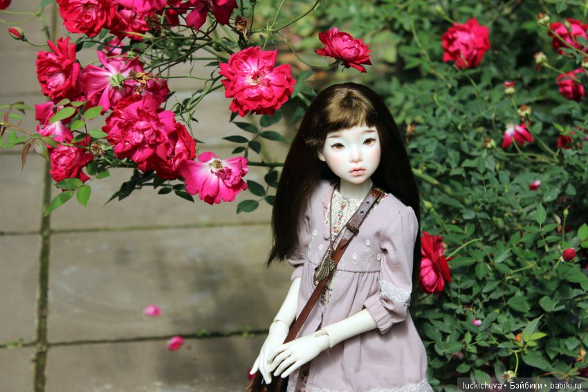 Файлин в Ботаническом Саду. Часть 1 (фото 5)