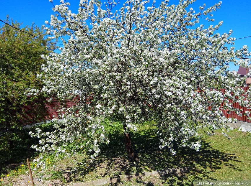 Как в сказке! Realpuki. 37 часть