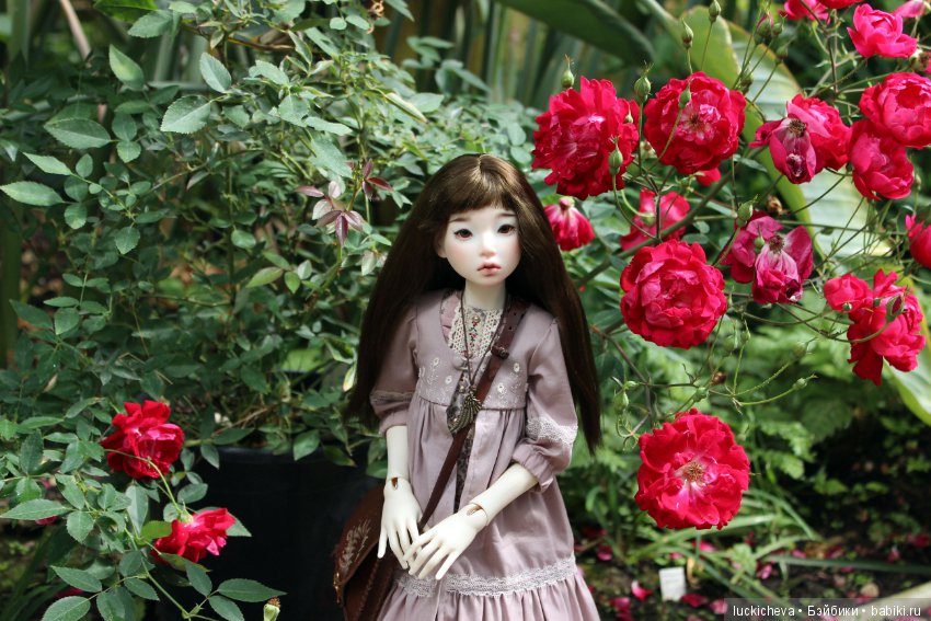 Файлин в Ботаническом Саду. Часть 1 (фото 2)