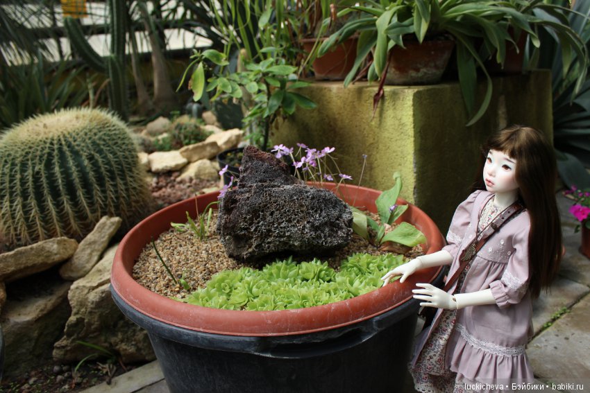 Файлин в Ботаническом Саду. Часть 1