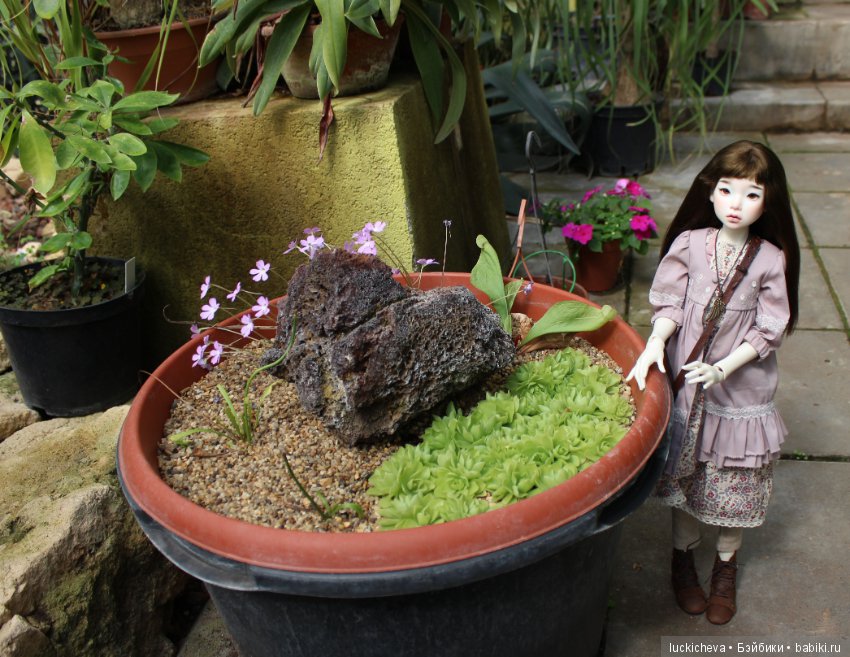 Файлин в Ботаническом Саду. Часть 1