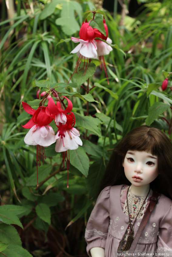 Файлин в Ботаническом Саду. Часть 1