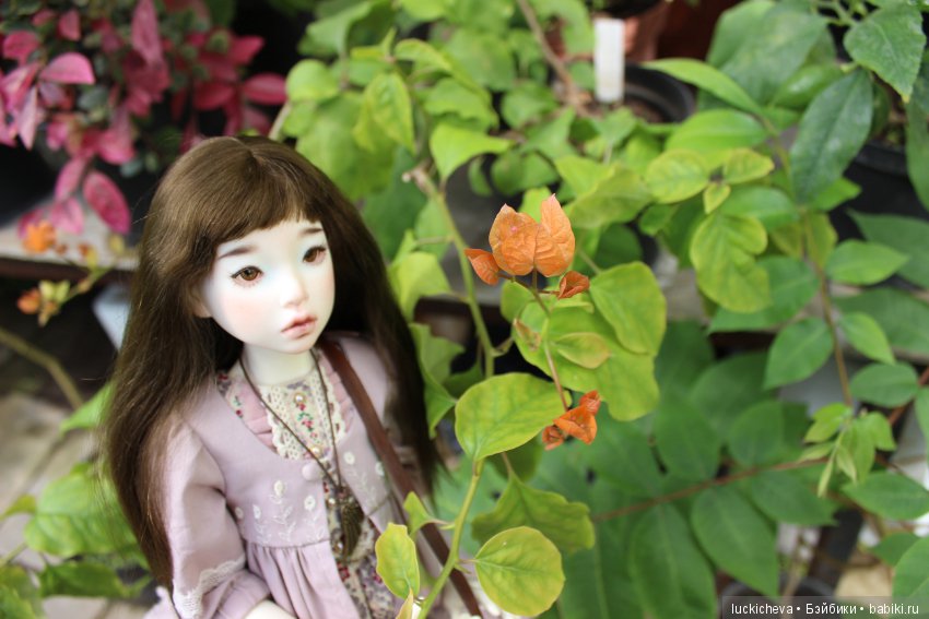 Файлин в Ботаническом Саду. Часть 1