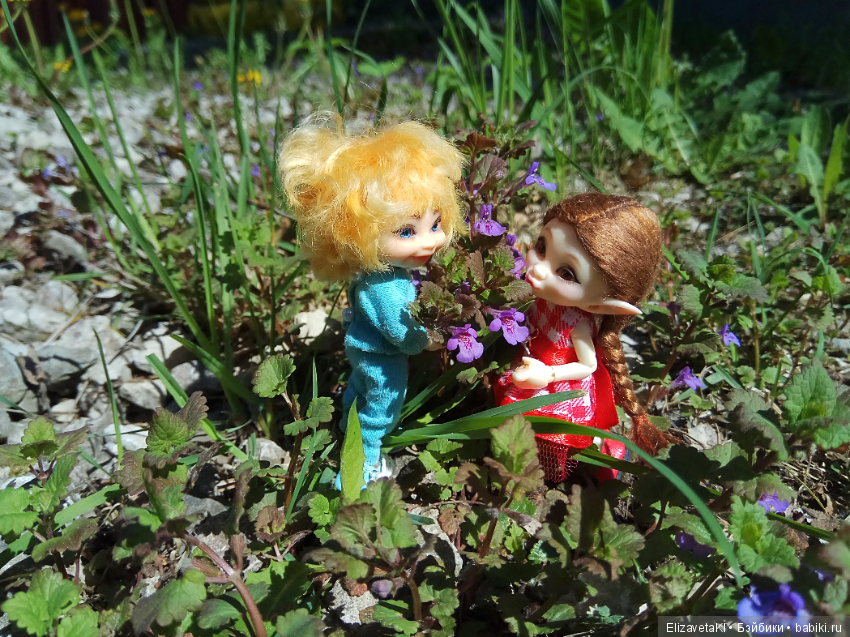 Как в сказке! Realpuki. 37 часть (фото 8)