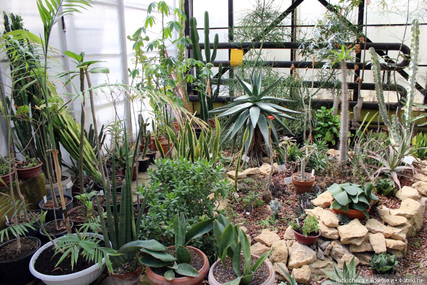 Файлин в Ботаническом Саду. Часть 1