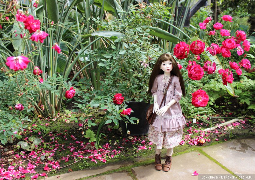 Файлин в Ботаническом Саду. Часть 1