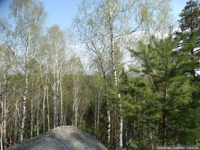 Барби-пышки на "Соколином камне"