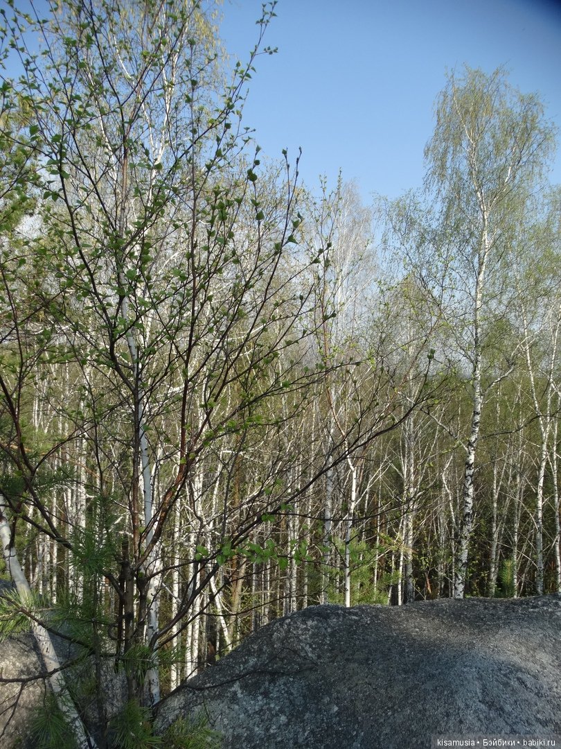 Барби-пышки на "Соколином камне"