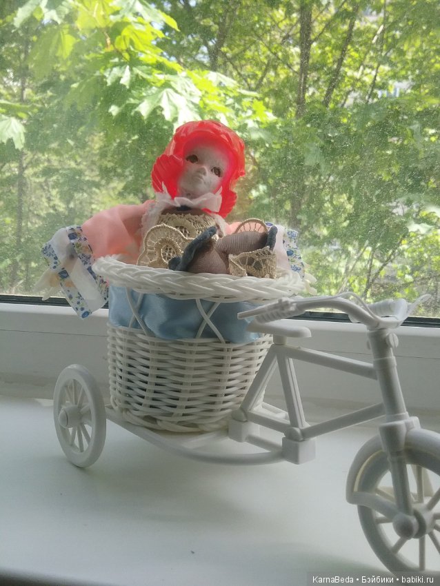 У них еще и органы есть - Медуза (фото 5)