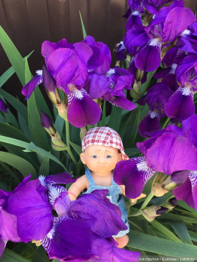 Как Обижулька свой страх преодолевал