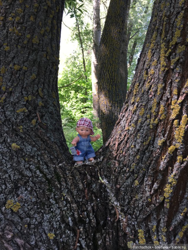 Как Обижулька свой страх преодолевал