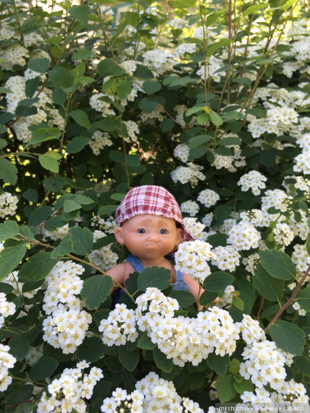 Как Обижулька свой страх преодолевал (фото 4)