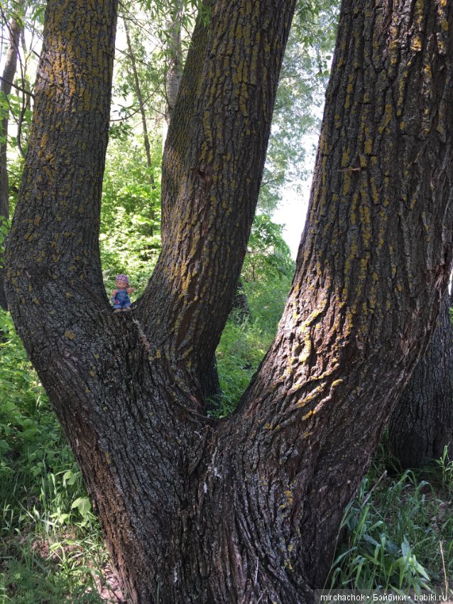 Как Обижулька свой страх преодолевал