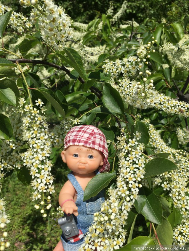 Как Обижулька свой страх преодолевал