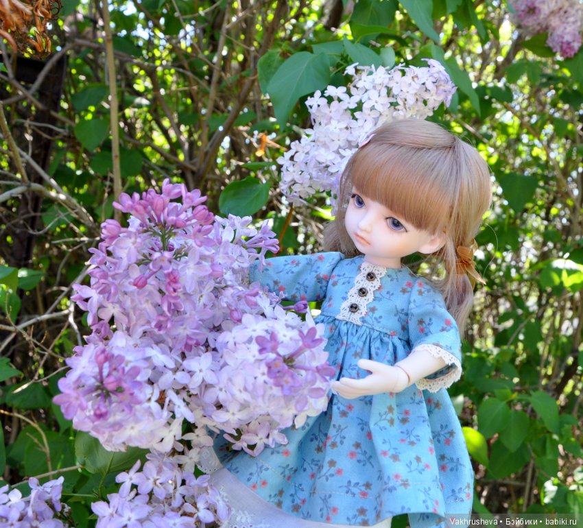 Алискина весна — Разные шарнирные куклы (не БЖД): редкие