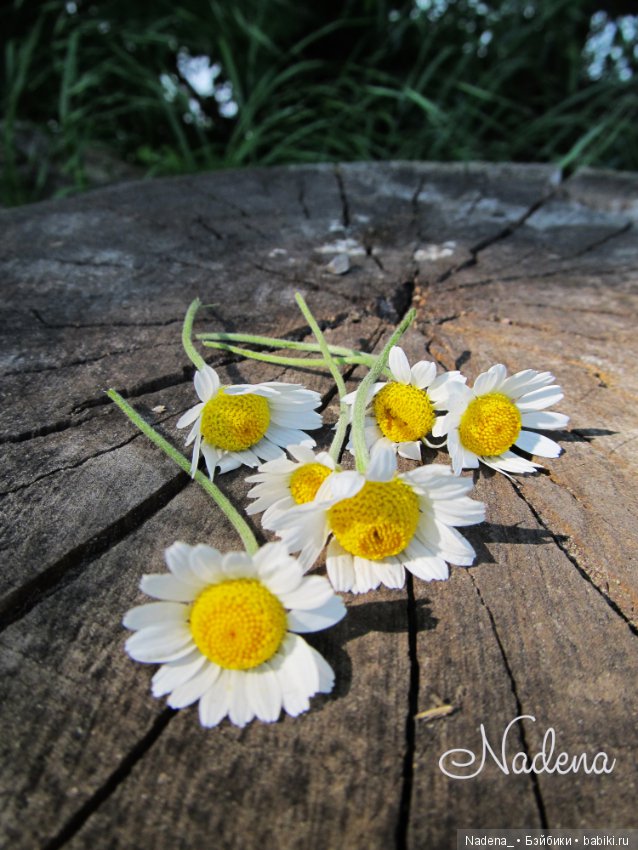 Прогулка в выходные дни — Одежда и обувь для кукол BJD (БЖД): 1/3 (фото 6)