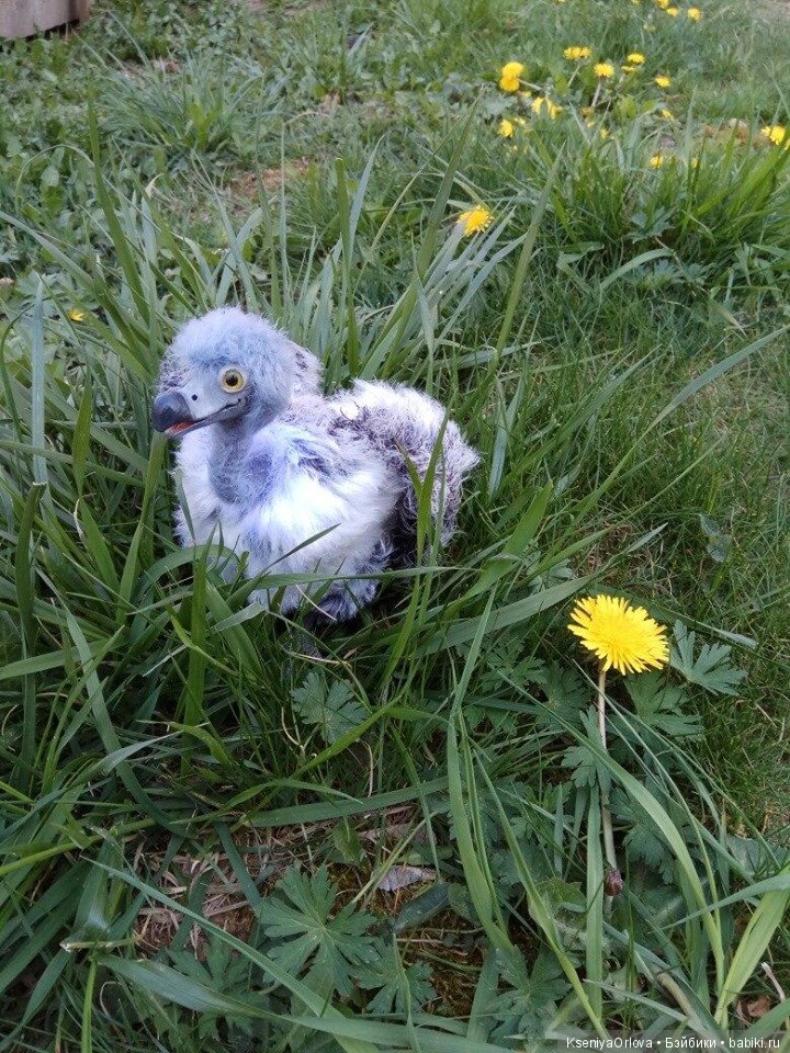 Грифенок — Вязаные игрушки и амигуруми: крючком (фото 3)