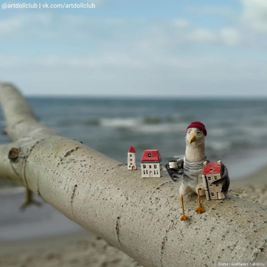 Чайк, автор Маруся Новокрещенова (фото 3)