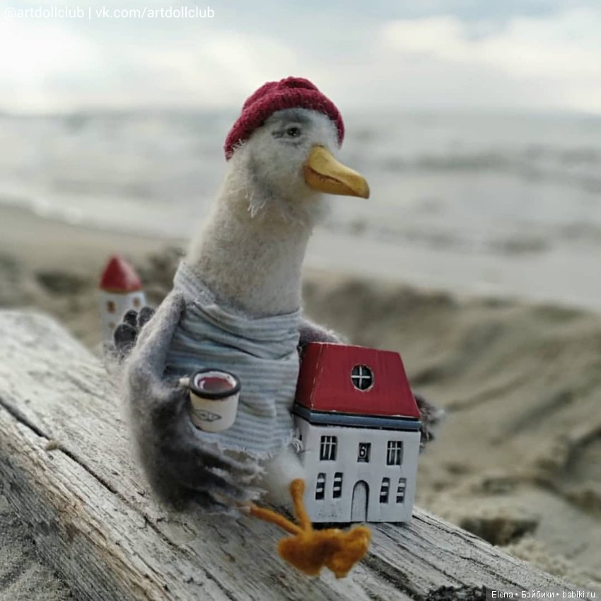 Чайк, автор Маруся Новокрещенова (фото 6)