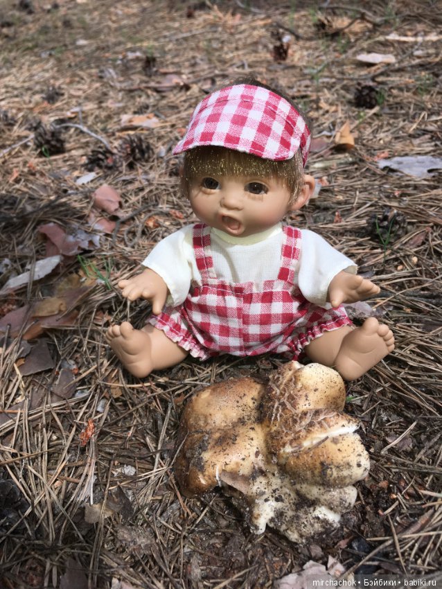 Белой акации гроздья душистые