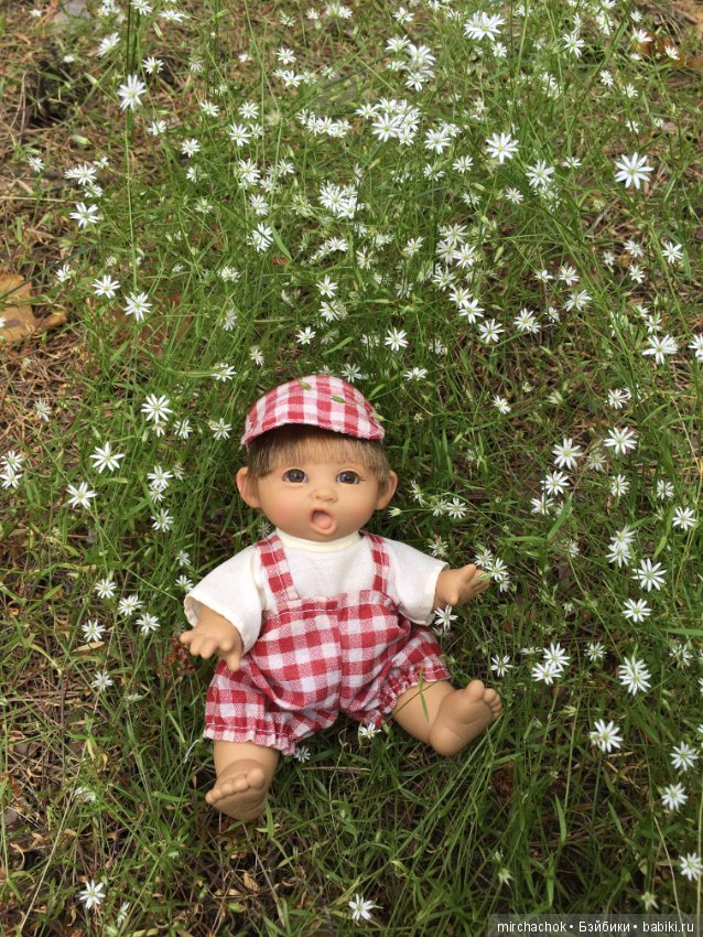 Белой акации гроздья душистые