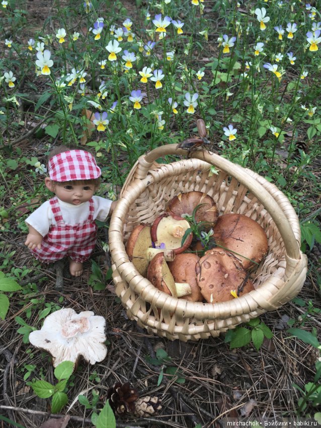 Белой акации гроздья душистые