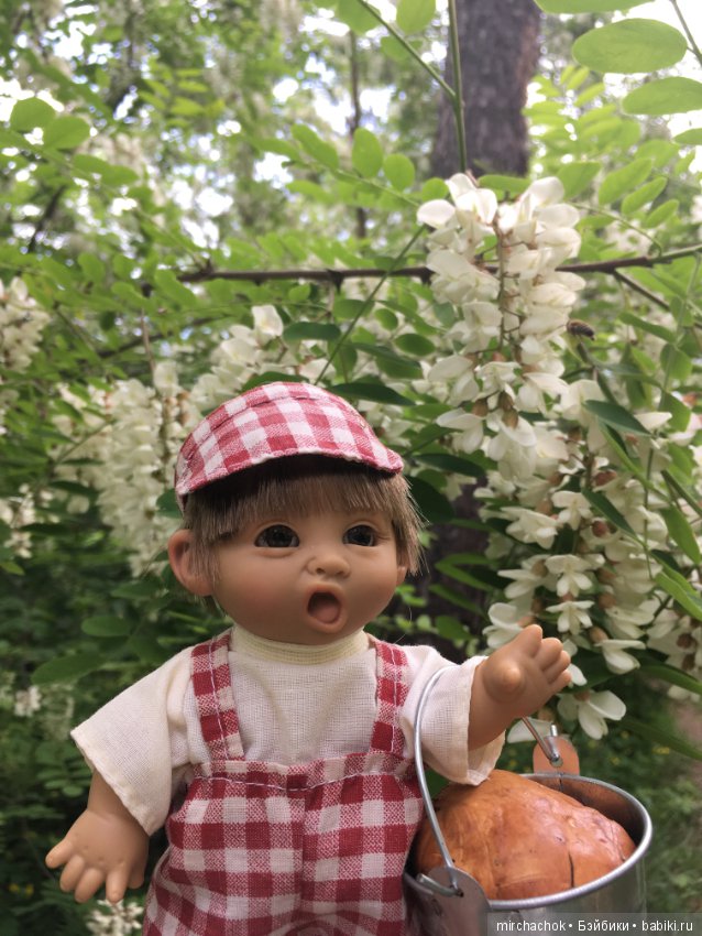 Белой акации гроздья душистые