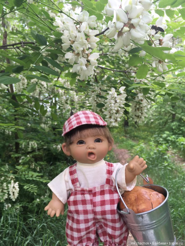 Белой акации гроздья душистые