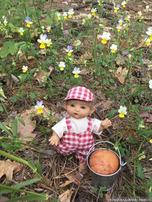 Белой акации гроздья душистые