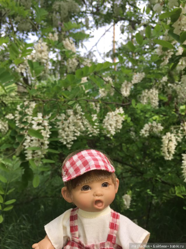 Белой акации гроздья душистые (фото 2)