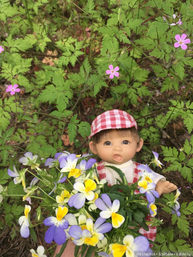 Белой акации гроздья душистые (фото 5)