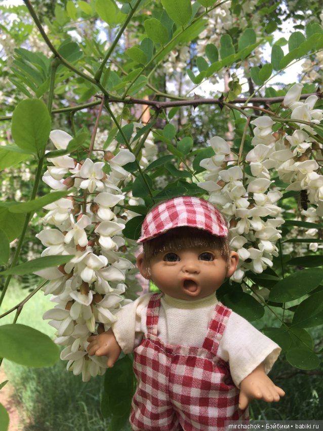 Белой акации гроздья душистые