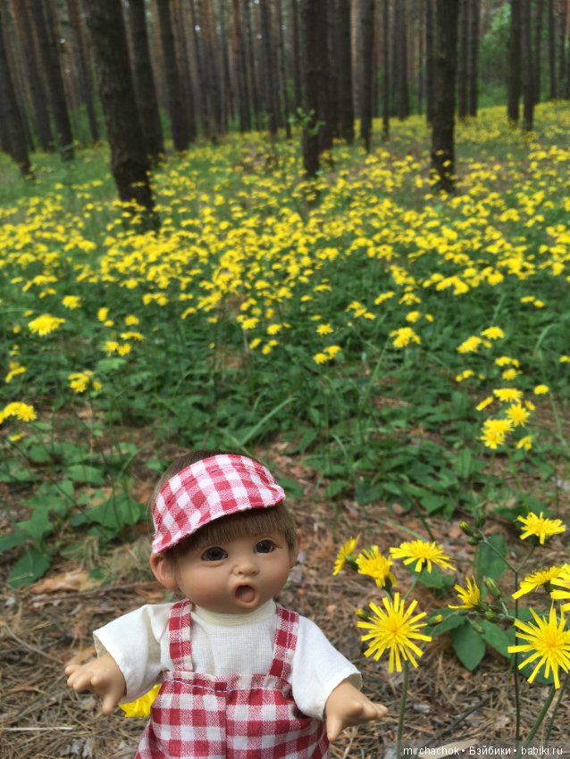 Белой акации гроздья душистые