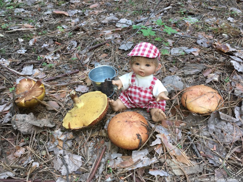 Белой акации гроздья душистые