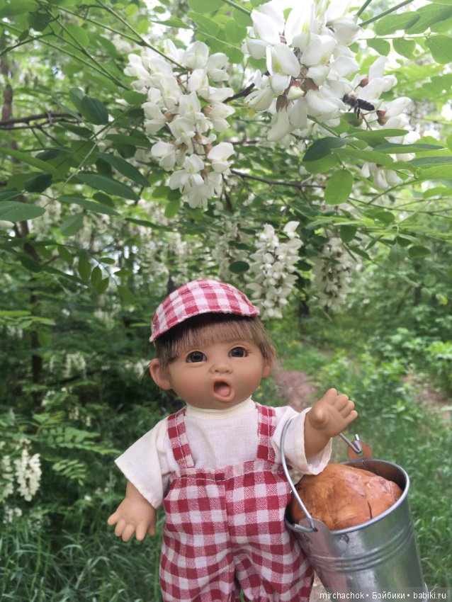 Белой акации гроздья душистые