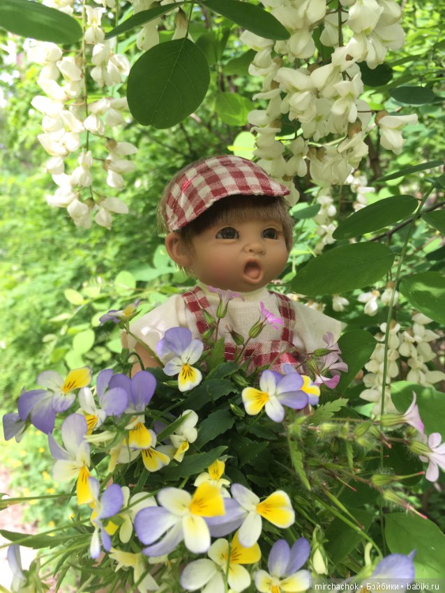 Белой акации гроздья душистые (фото 10)