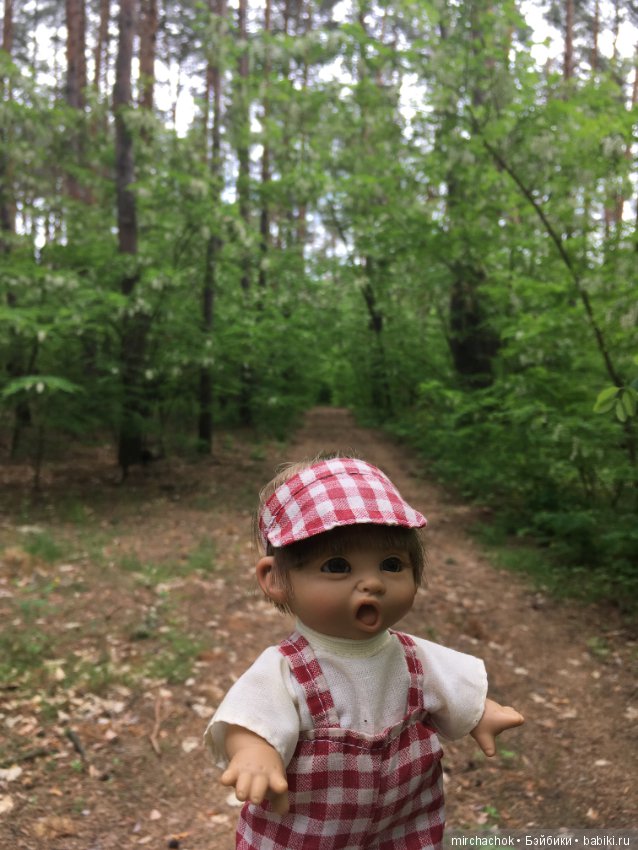 Белой акации гроздья душистые