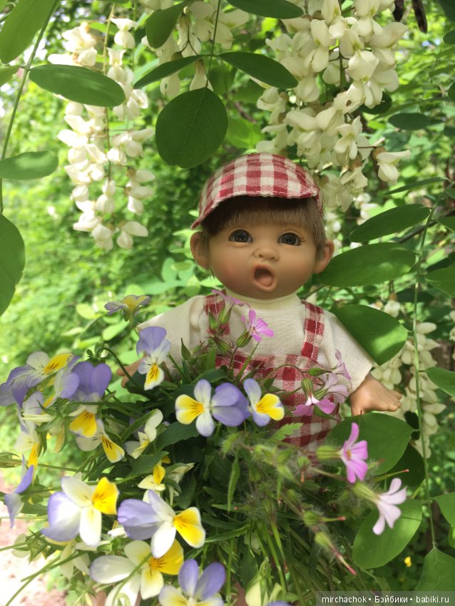 Белой акации гроздья душистые (фото 9)