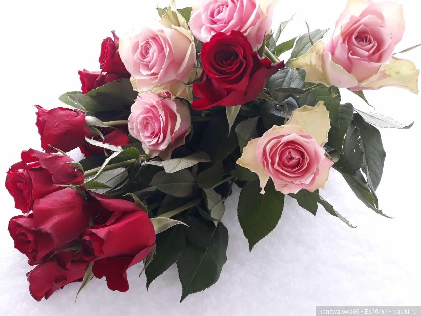 Итальянские фарфоровые куклы Сибания (фото 10)